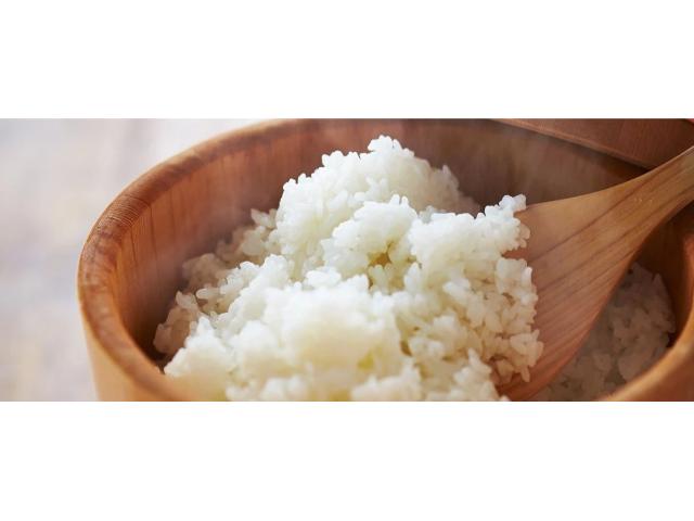 �ቷ���@ �V�����Y�����Ђ���i���f�[�U��j5kg
