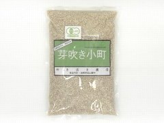 �A�C���b�c �L�@�F�ؔ��茺�� ��Ԃ����� 1Kg x10