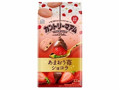 s Jg[}Ai܂䕃VRj 12 x5