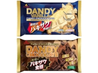 【冷凍】ダンディーチョコレート、ダンディーバニラ各5個セット