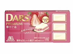 �X�i���� �_�[�X�v���~�A�� �؂₮� 46g x10