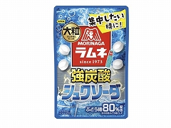 �X�i���� �嗱�����l���Y�_�V�����\�[�_ 25g x10